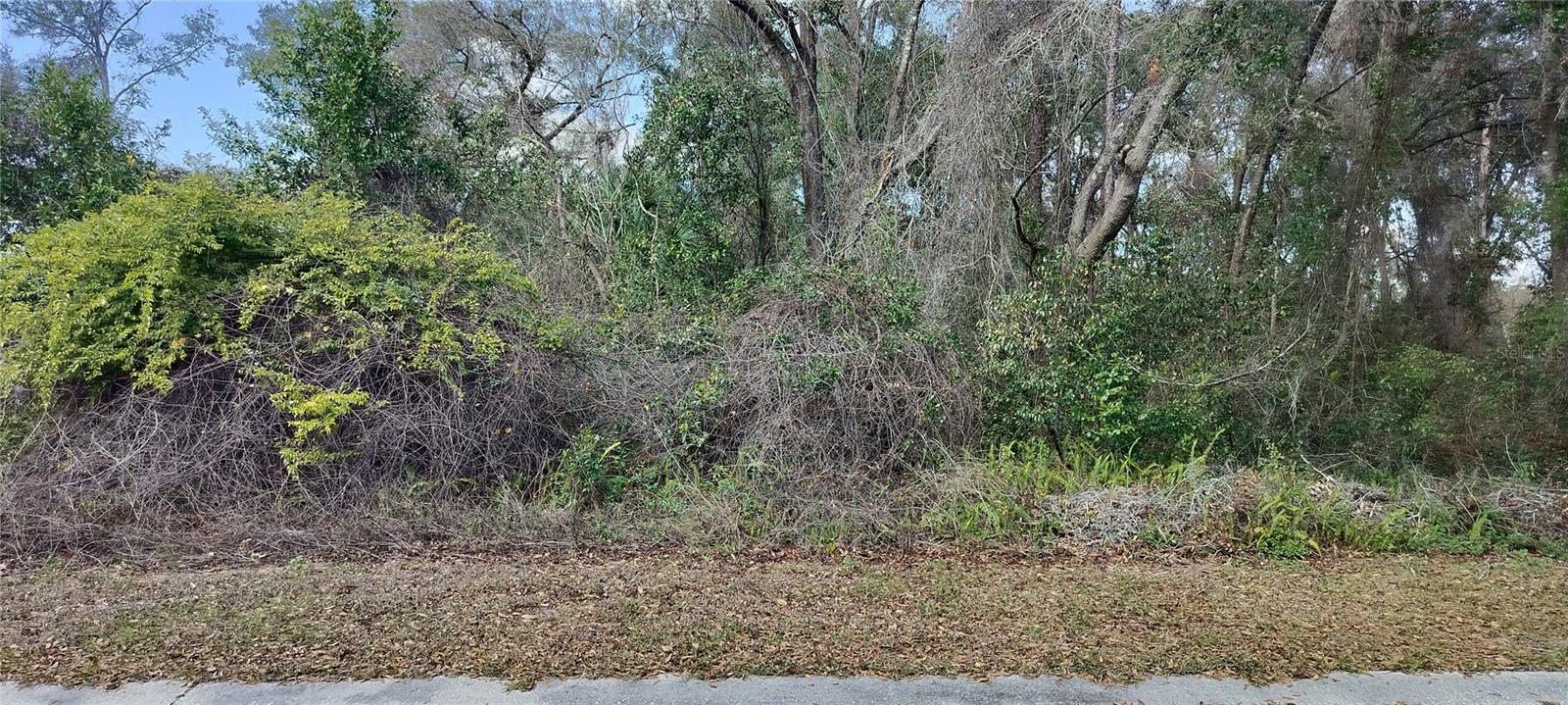 204 ADELPHI ST, INVERNESS, FL — photo 12