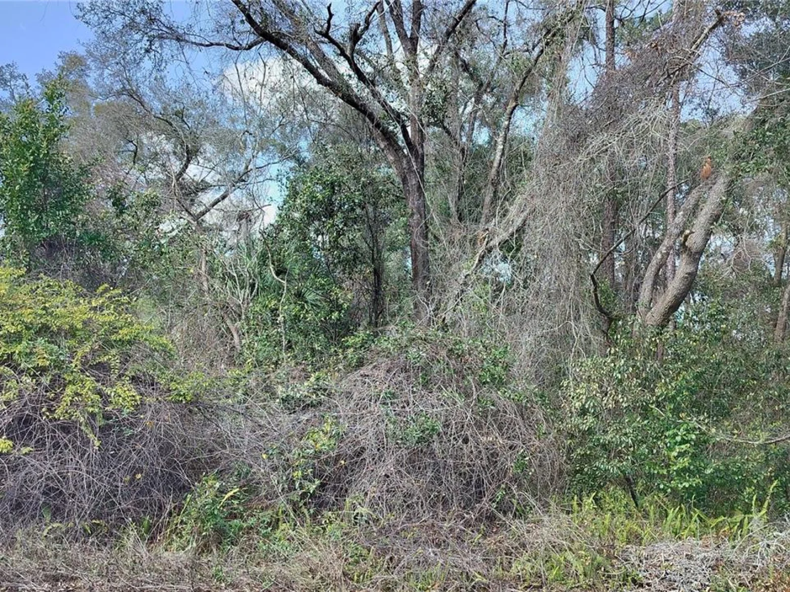 204 ADELPHI ST, INVERNESS, FL — photo 13
