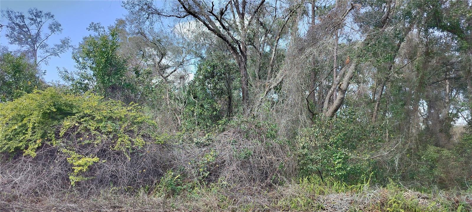 204 ADELPHI ST, INVERNESS, FL — photo 14