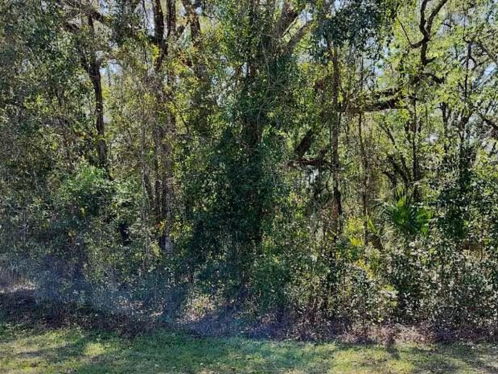 517 S SAVARY AVE, INVERNESS, FL — photo 5