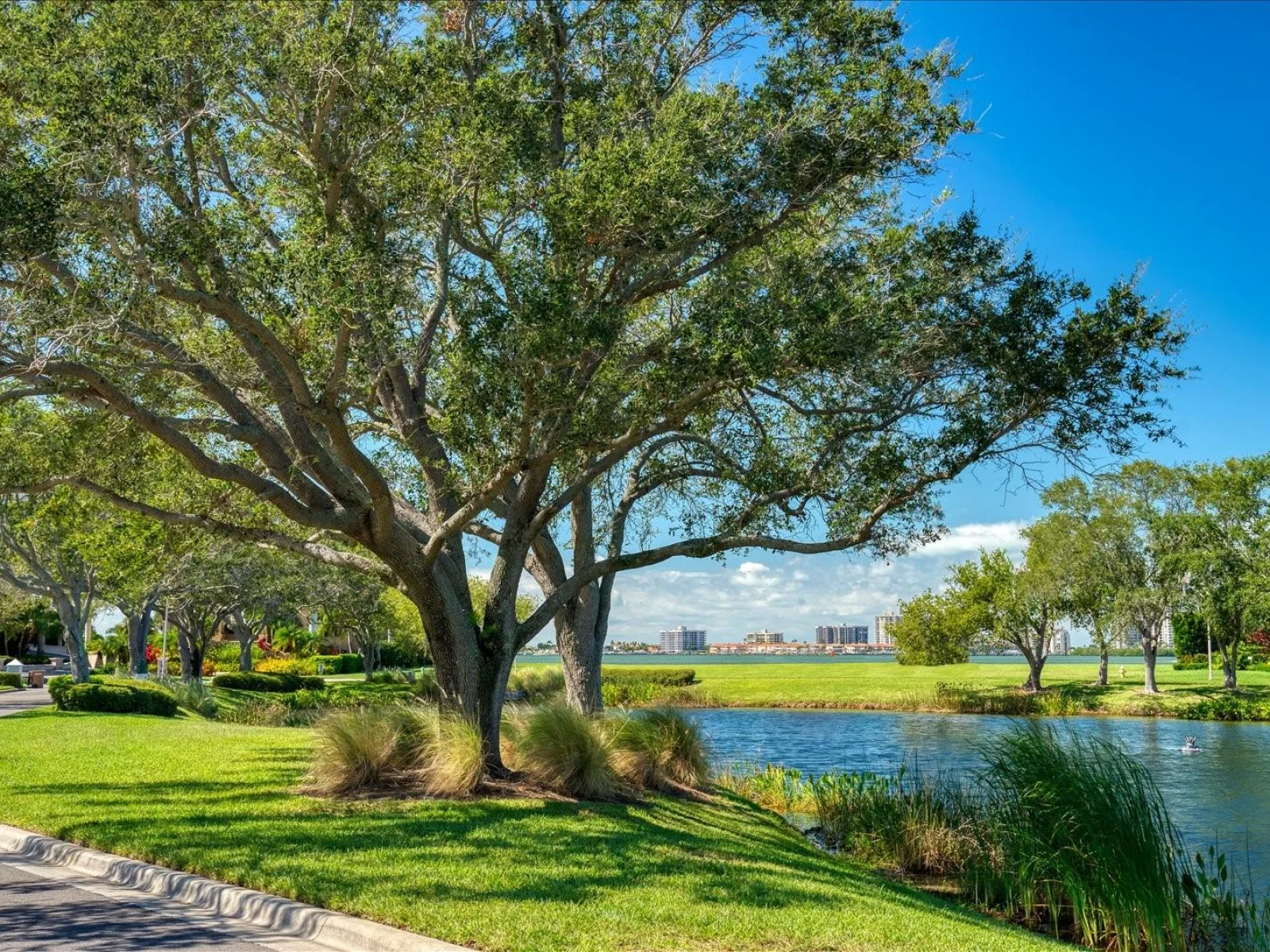 SAINT ANDREWS DR, BELLEAIR, FL — photo 20