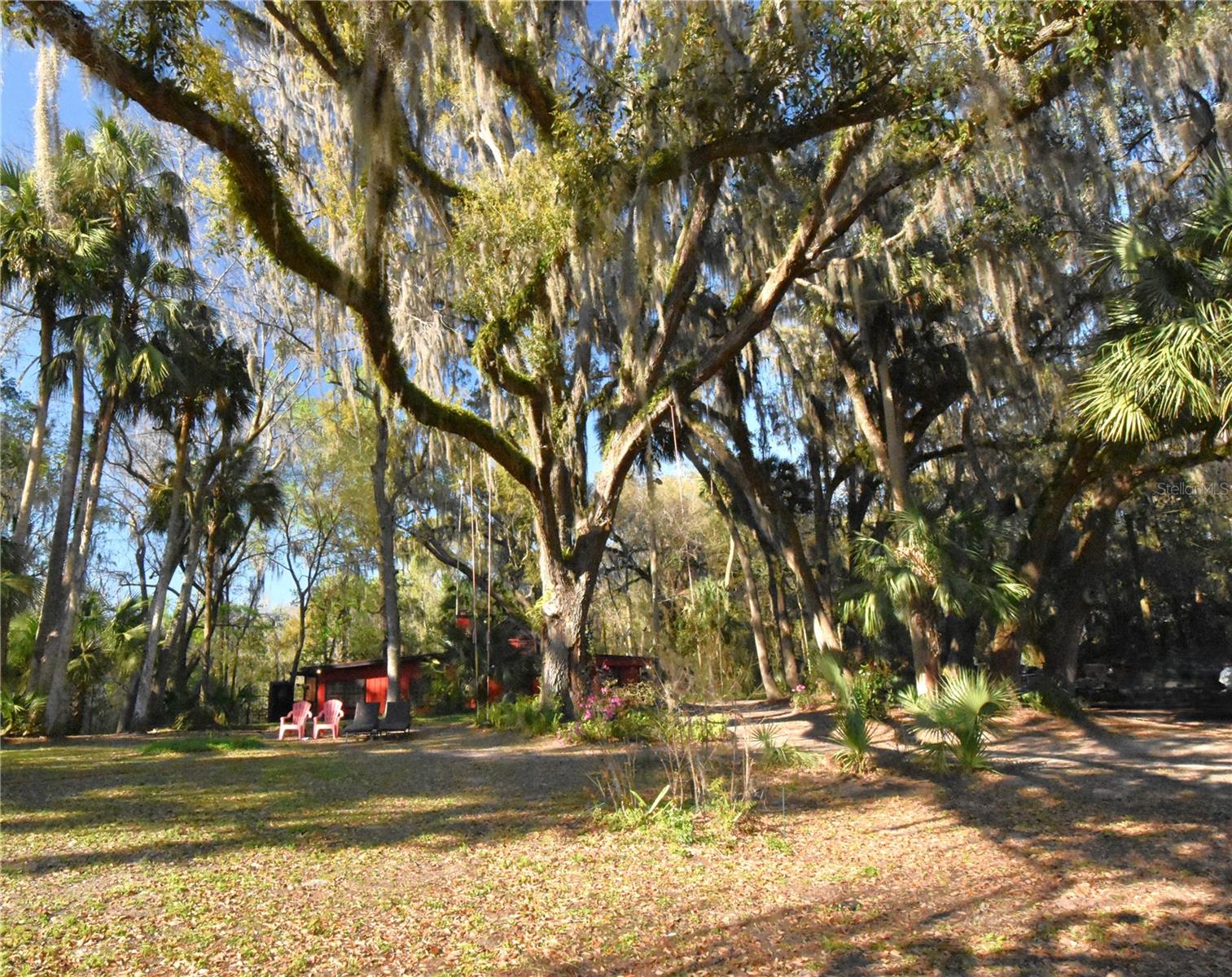 1302 SE WACAHOOTA RD, MICANOPY, FL — photo 18