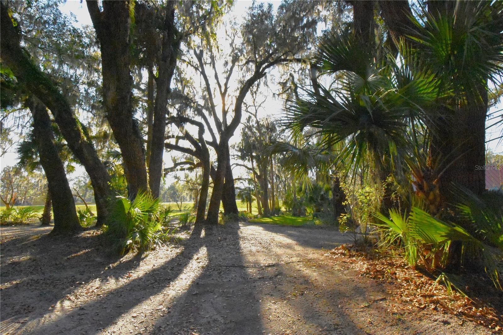 1302 SE WACAHOOTA RD, MICANOPY, FL — photo 30