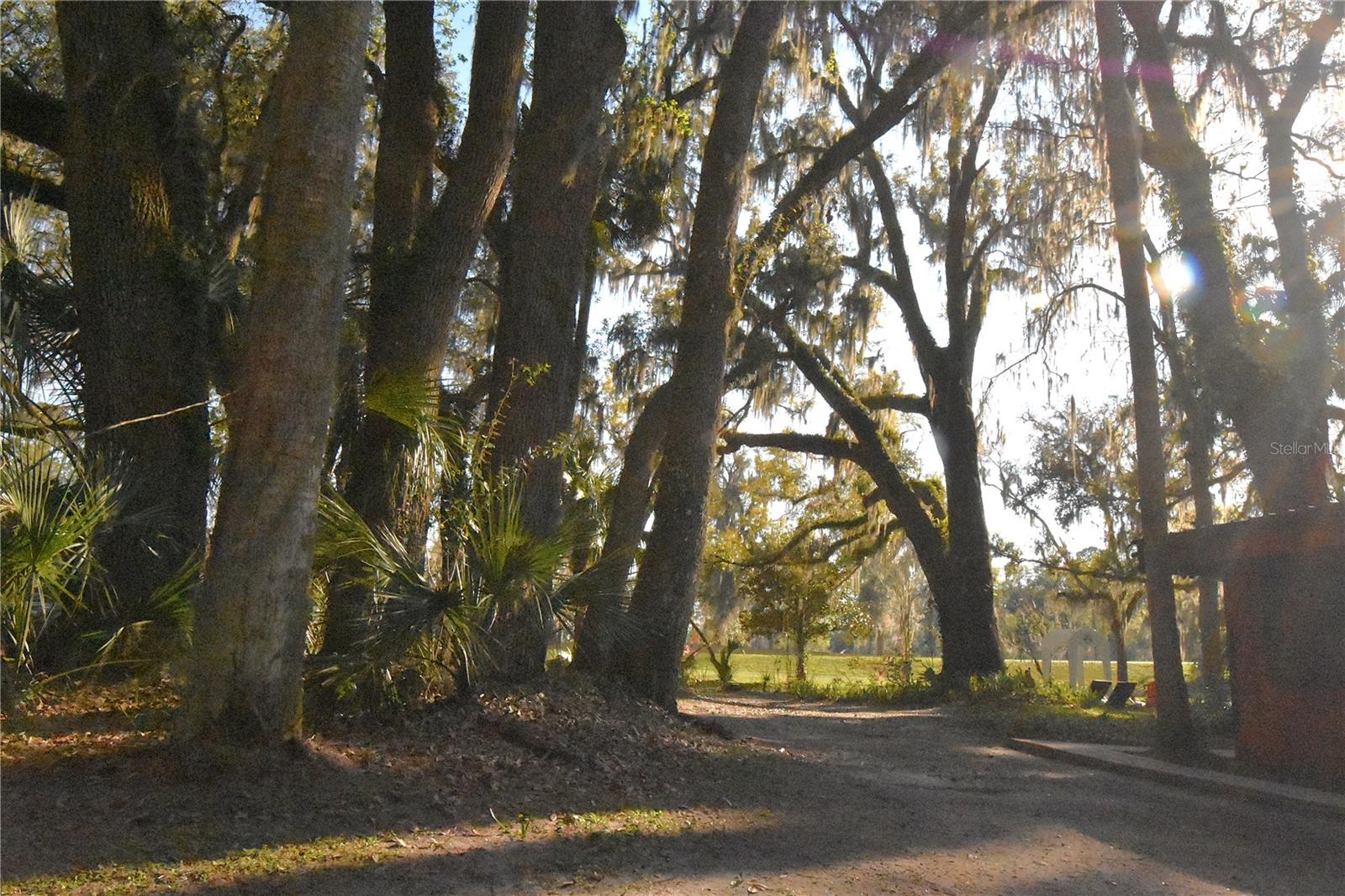 1302 SE WACAHOOTA RD, MICANOPY, FL — photo 29