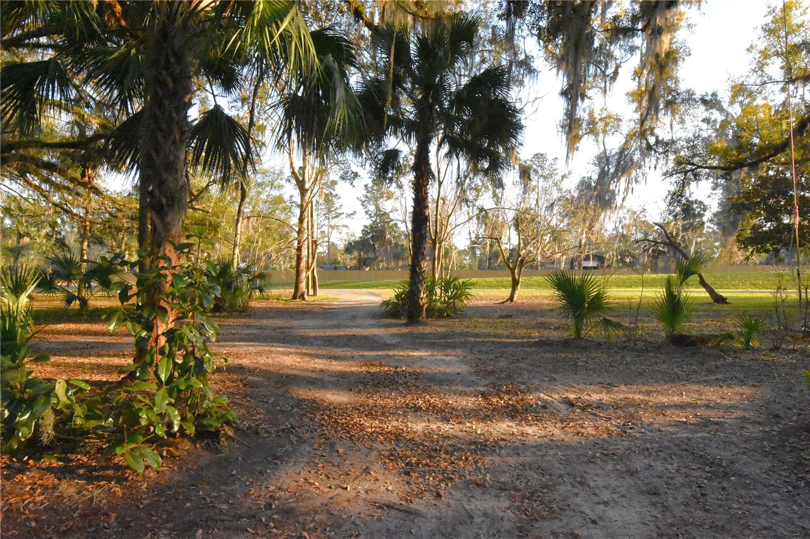 1302 SE WACAHOOTA RD, MICANOPY, FL — photo 58