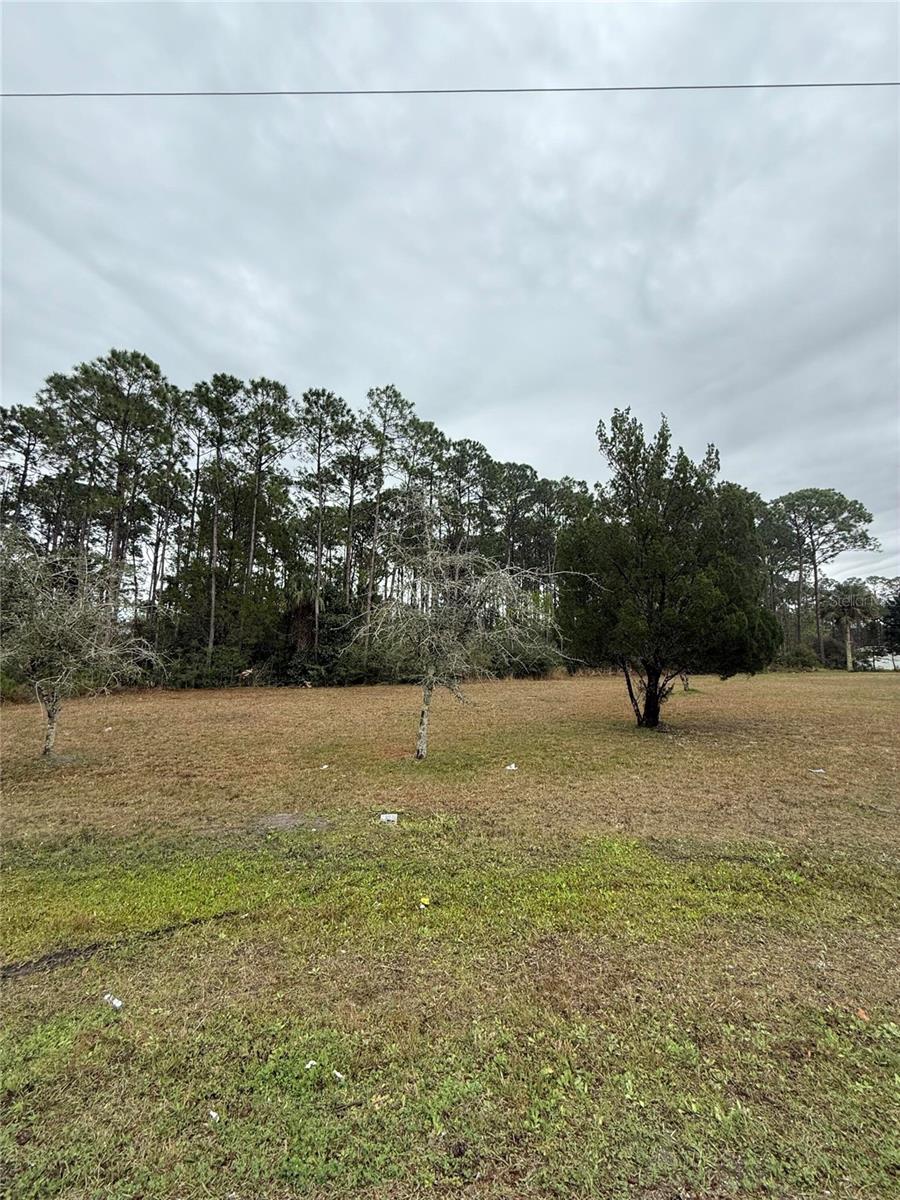 245 ULLIAN TRL, PALM COAST, FL