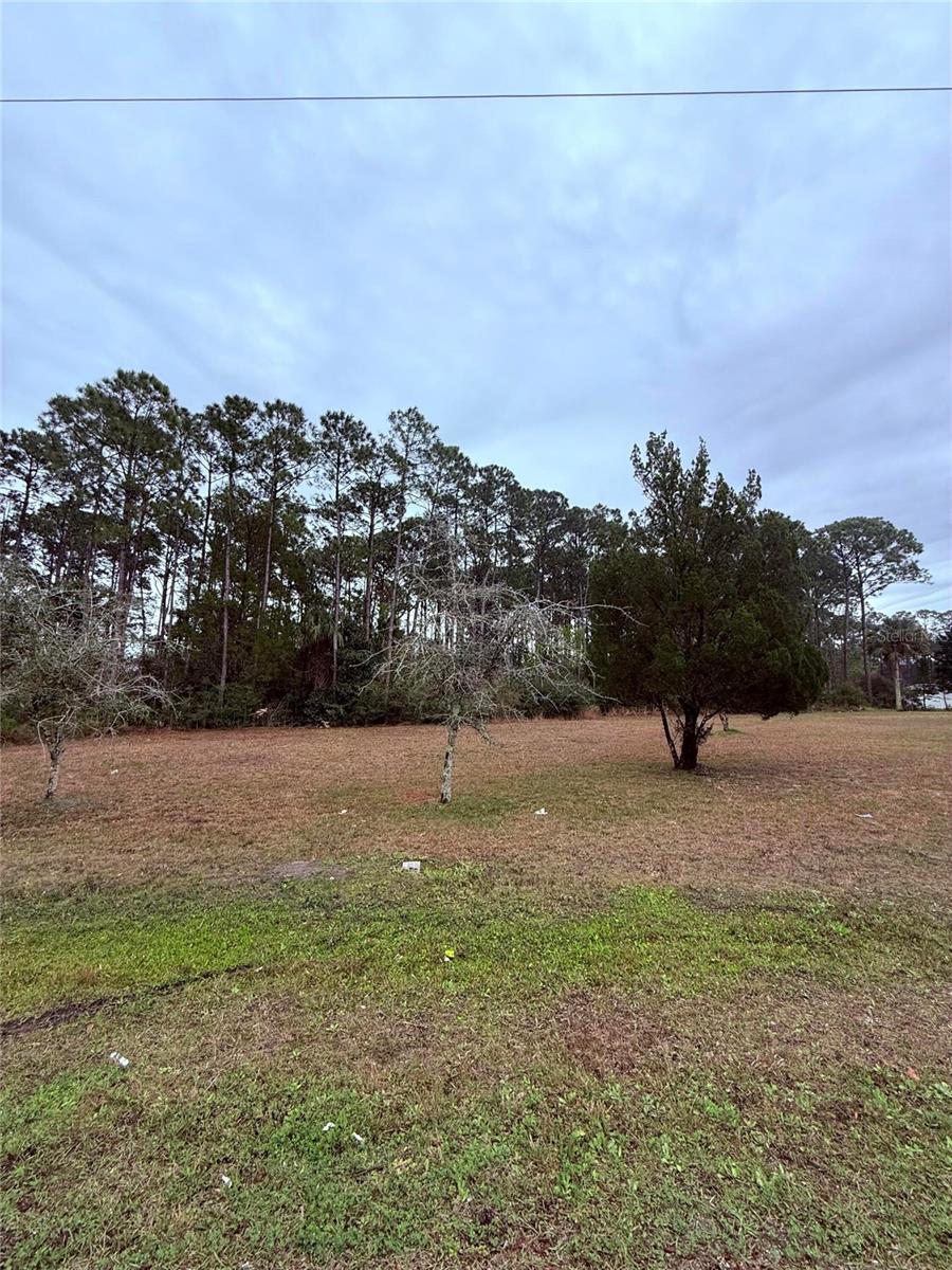 245 ULLIAN TRL, PALM COAST, FL — photo 3