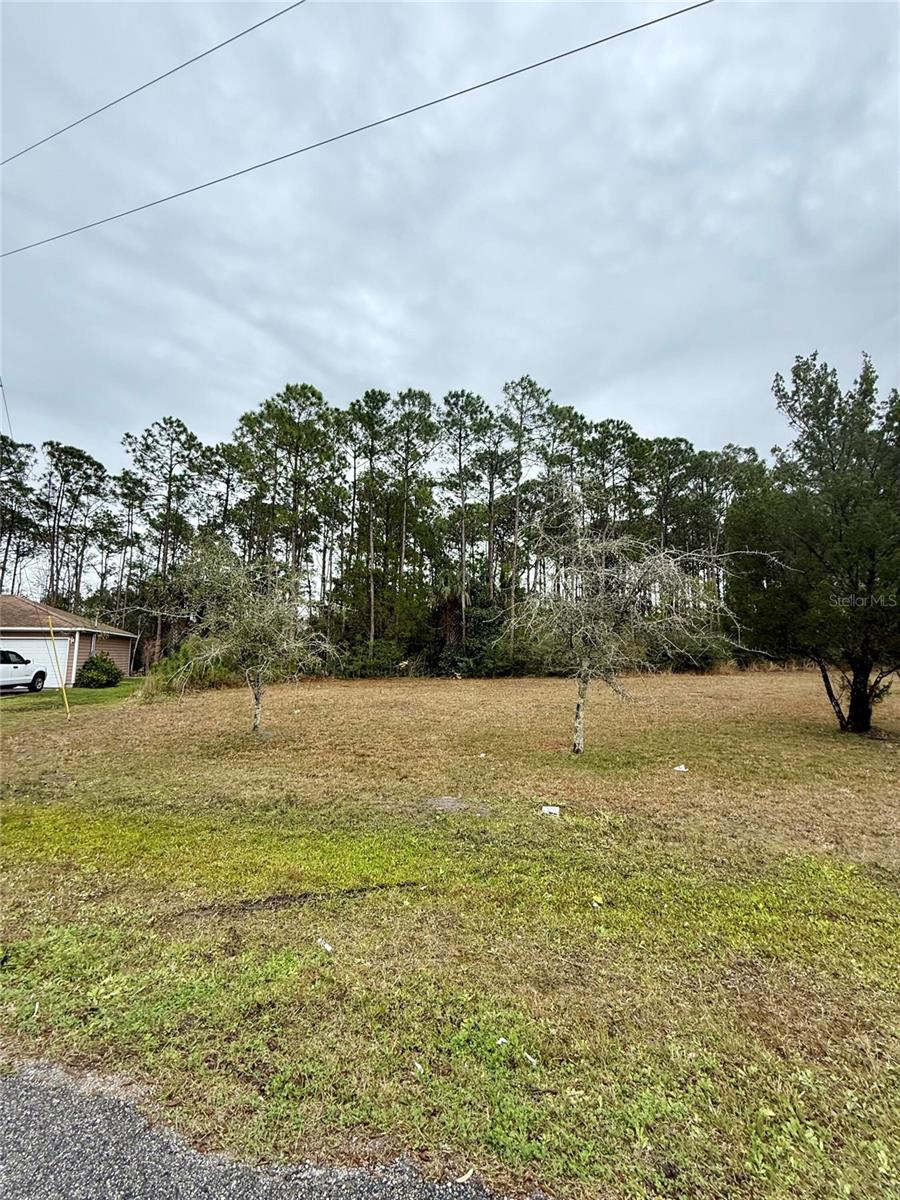 245 ULLIAN TRL, PALM COAST, FL — photo 5