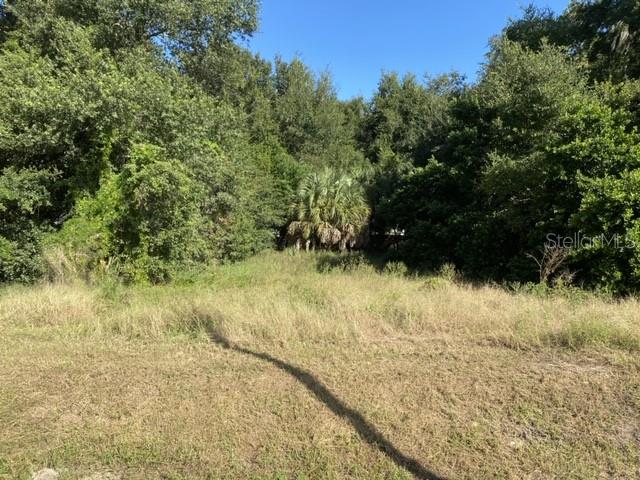 US-441, EUSTIS, FL — photo 5