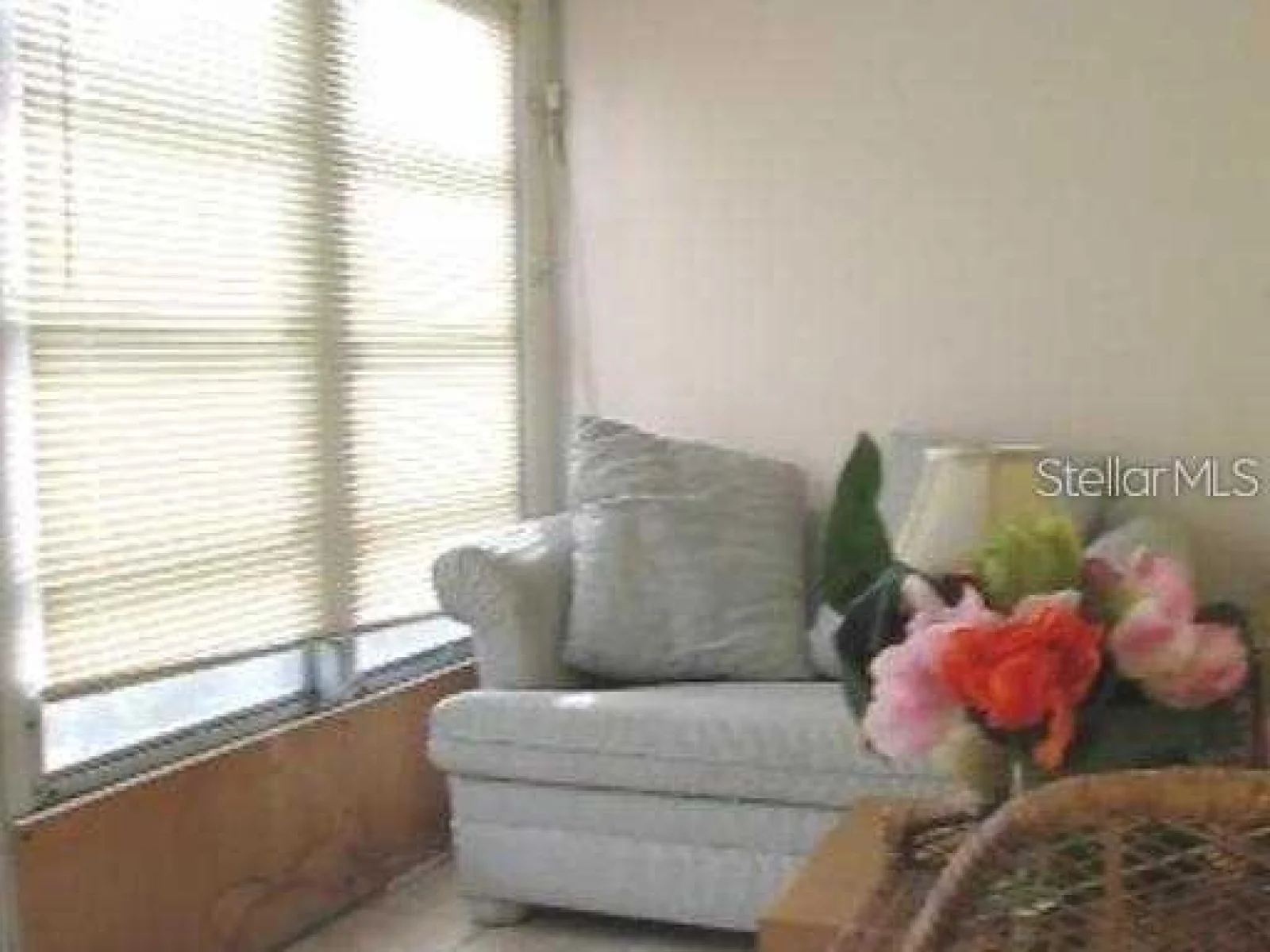 1345 DREW ST #5, CLEARWATER, FL — photo 11