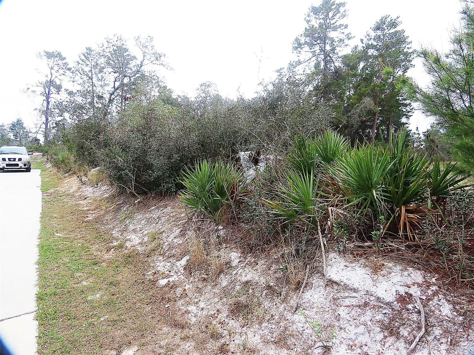 71 ORCHID CT, KISSIMMEE, FL — photo 2