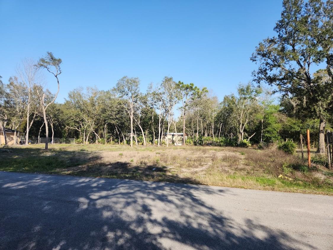 LOT 19 NW 119 TH CT, OCALA, FL