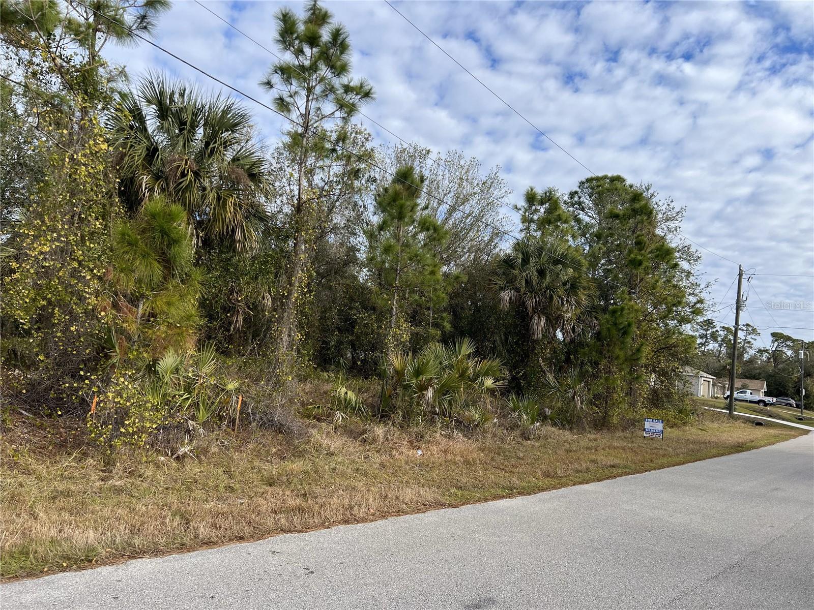 CARMELIA ST, NORTH PORT, FL