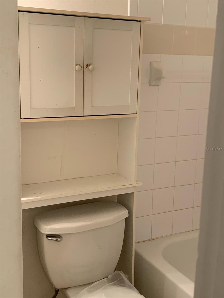 12403 HIBISCUS OAK PL #202, TAMPA, FL — photo 32