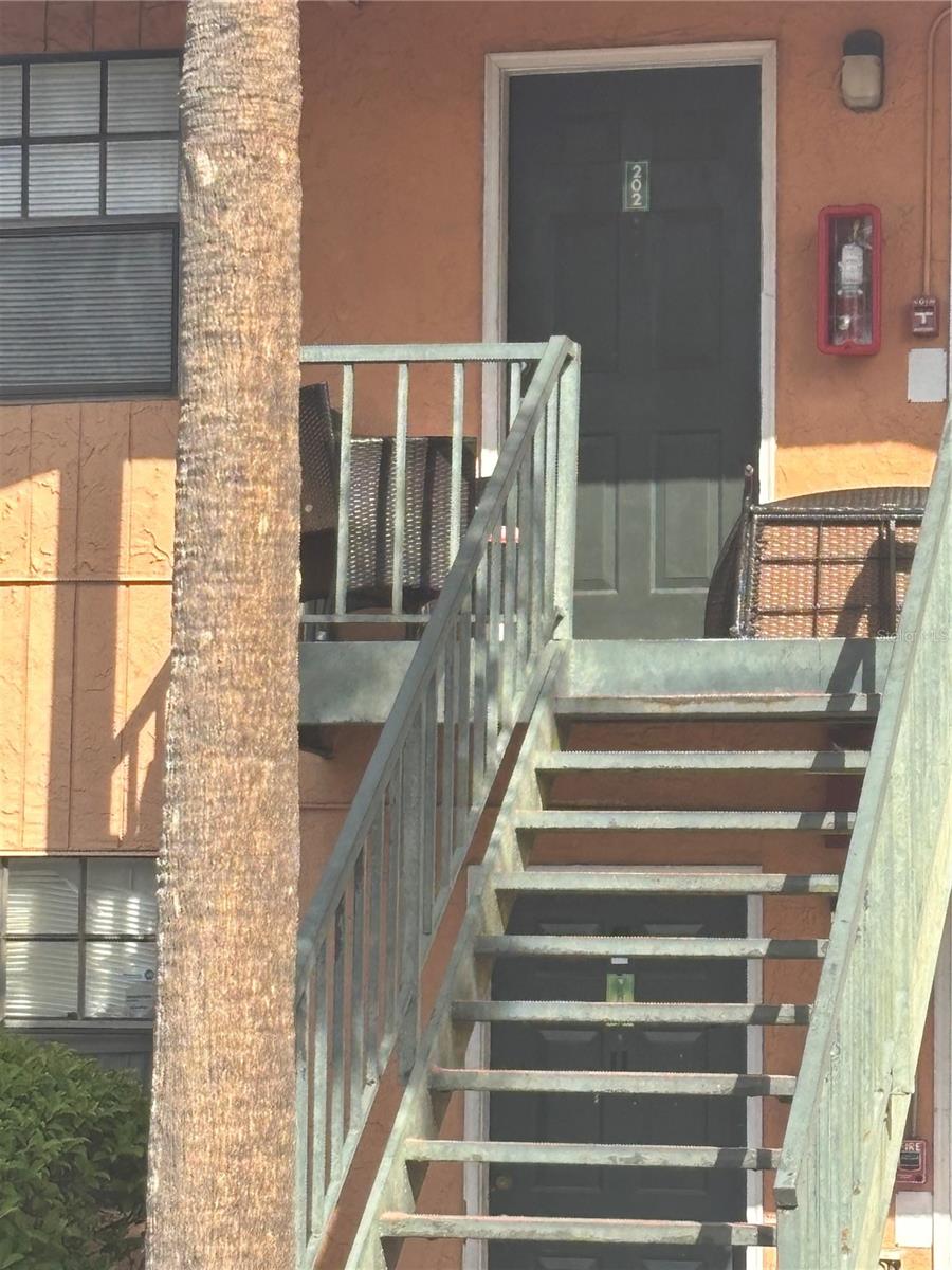 12403 HIBISCUS OAK PL #202, TAMPA, FL — photo 38