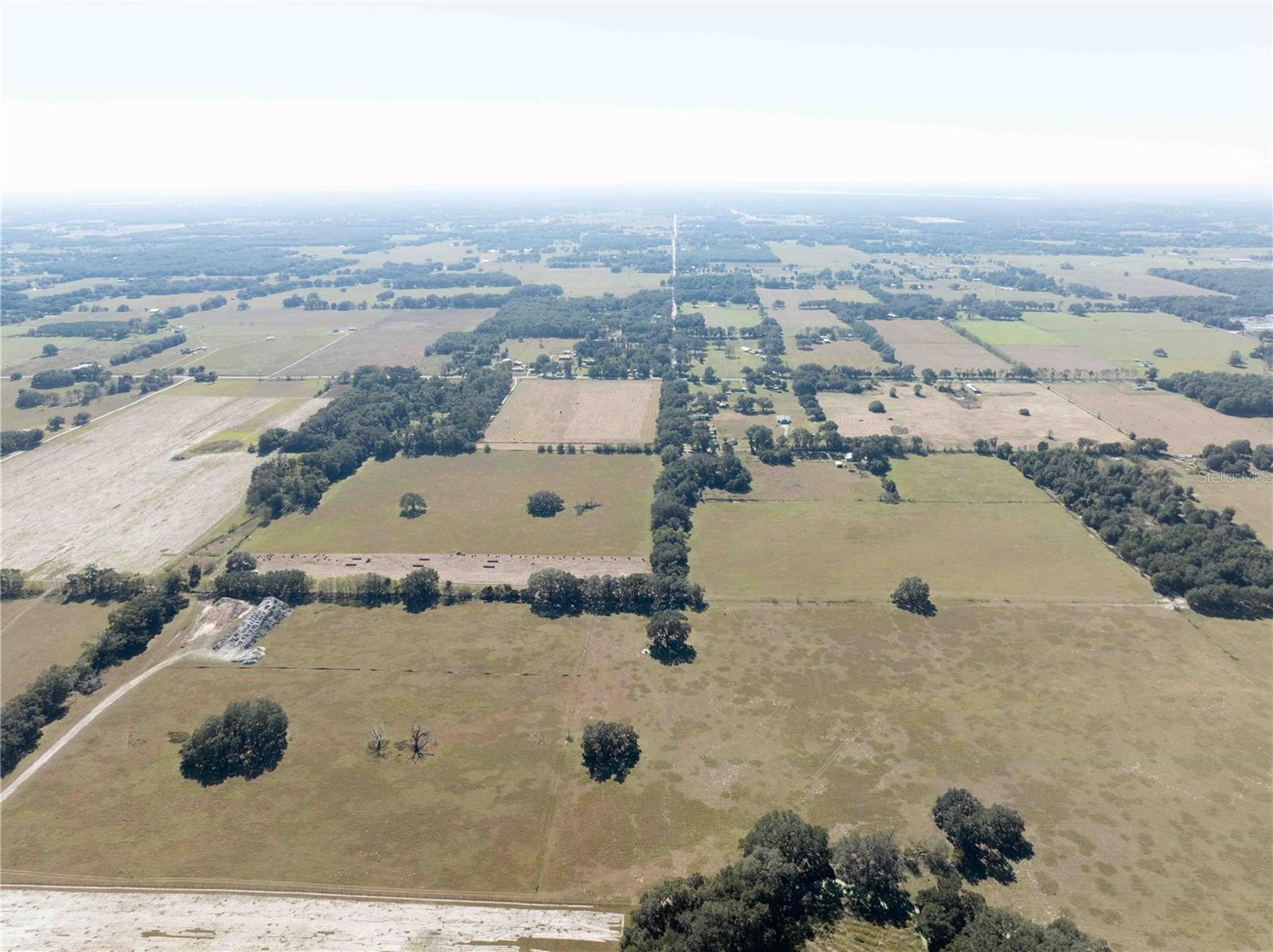 1480 OXFORD PRESERVE TRL, OXFORD, FL — photo 11