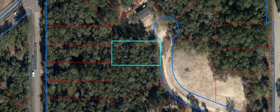 155 PALM DR, BRONSON, FL