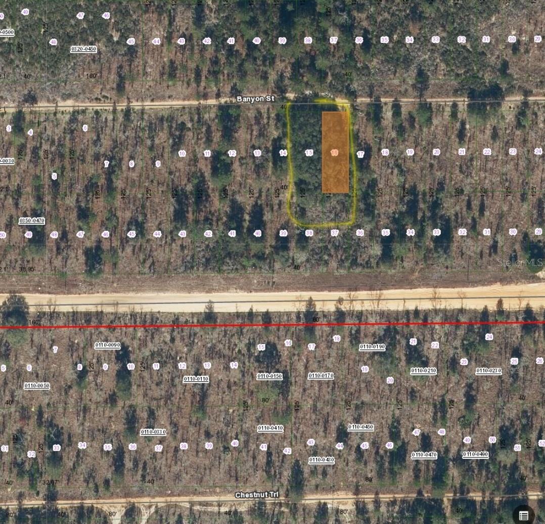TBD BANYAN STREET, INTERLACHEN, FL