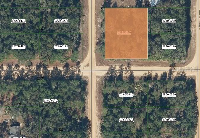 00 NORMAN AVE, INTERLACHEN, FL
