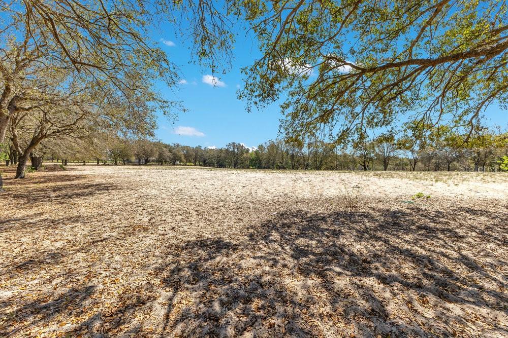 4649 MEADOWLAND DR, MOUNT DORA, FL — photo 5