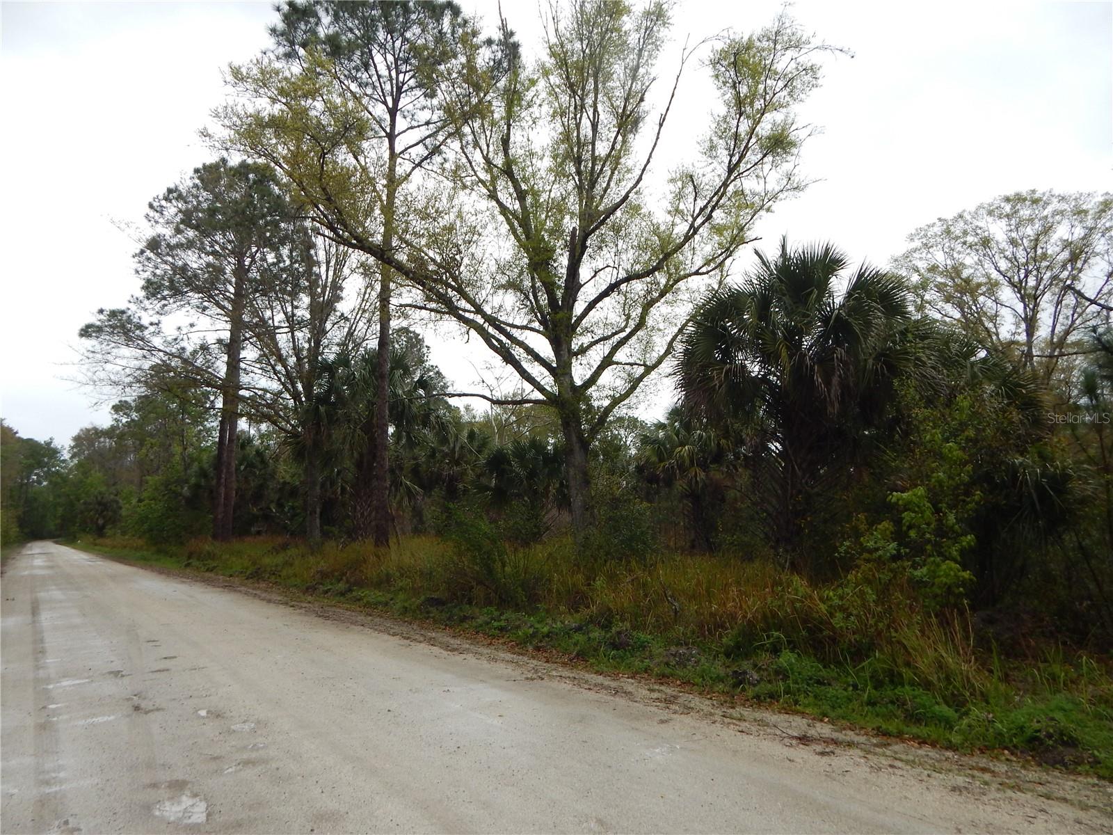 0 ROBIN TRL, KISSIMMEE, FL — photo 3
