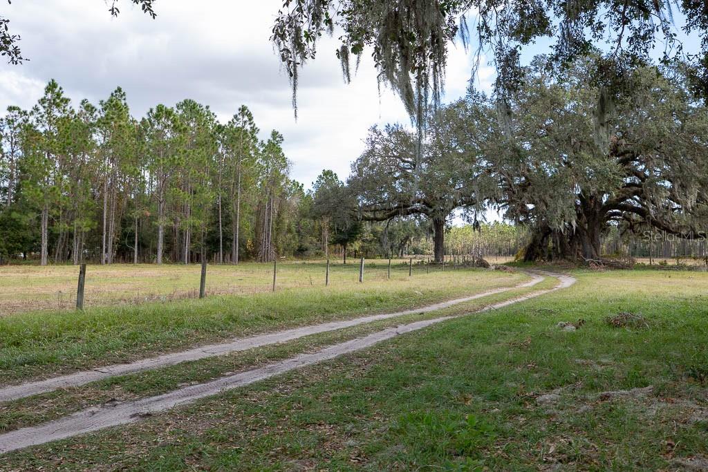 993 CR 722, WEBSTER, FL — photo 46