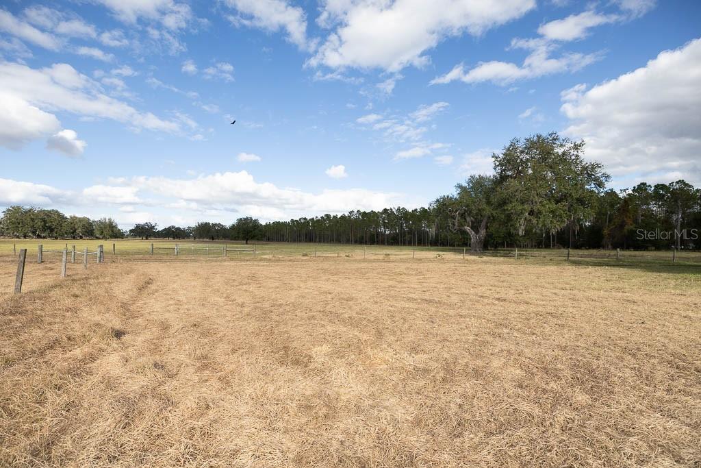 993 CR 722, WEBSTER, FL — photo 50