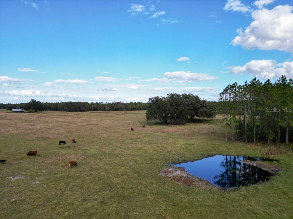 993 CR 722, WEBSTER, FL — photo 76