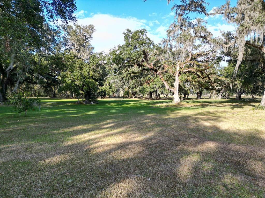 993 CR 722, WEBSTER, FL — photo 85