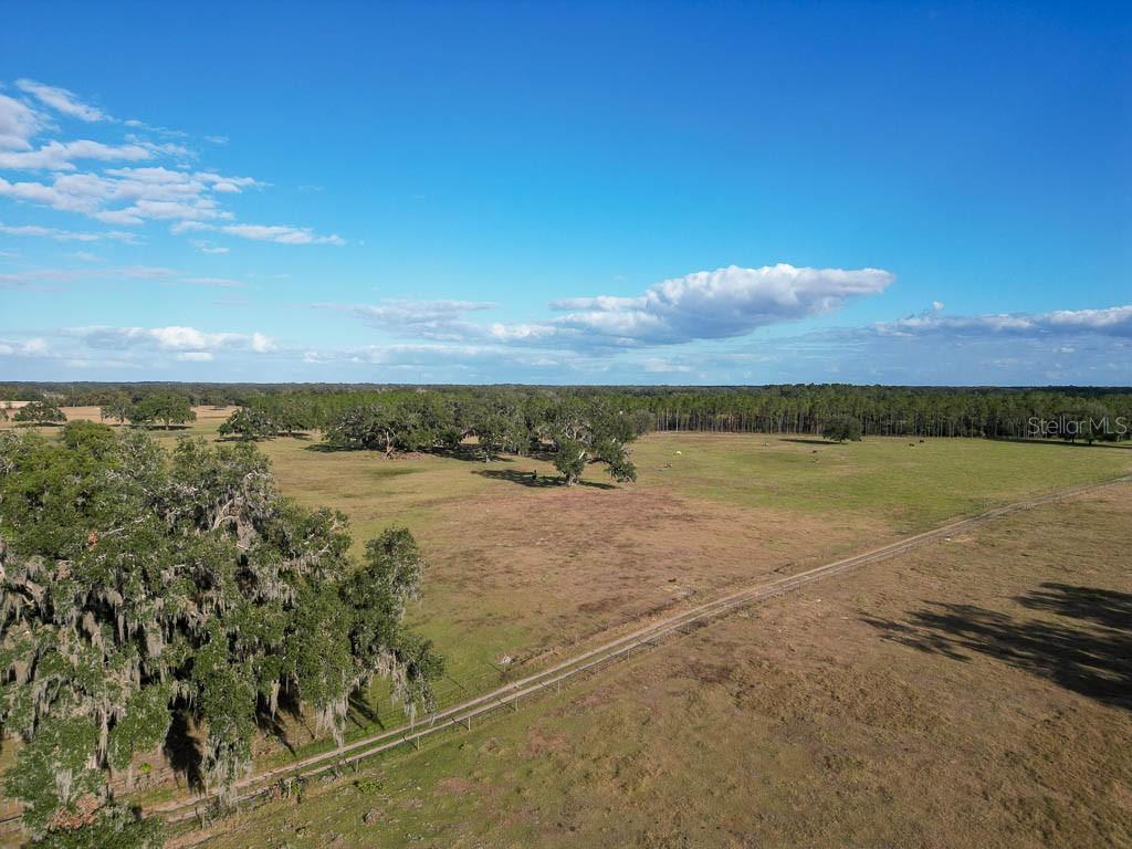 993 CR 722, WEBSTER, FL — photo 87