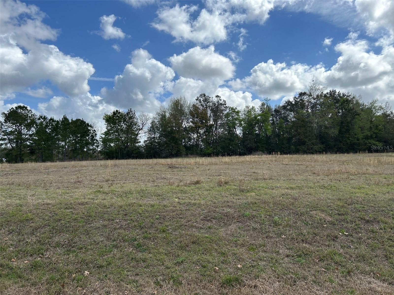 NW 104TH TER, ALACHUA, FL — photo 4