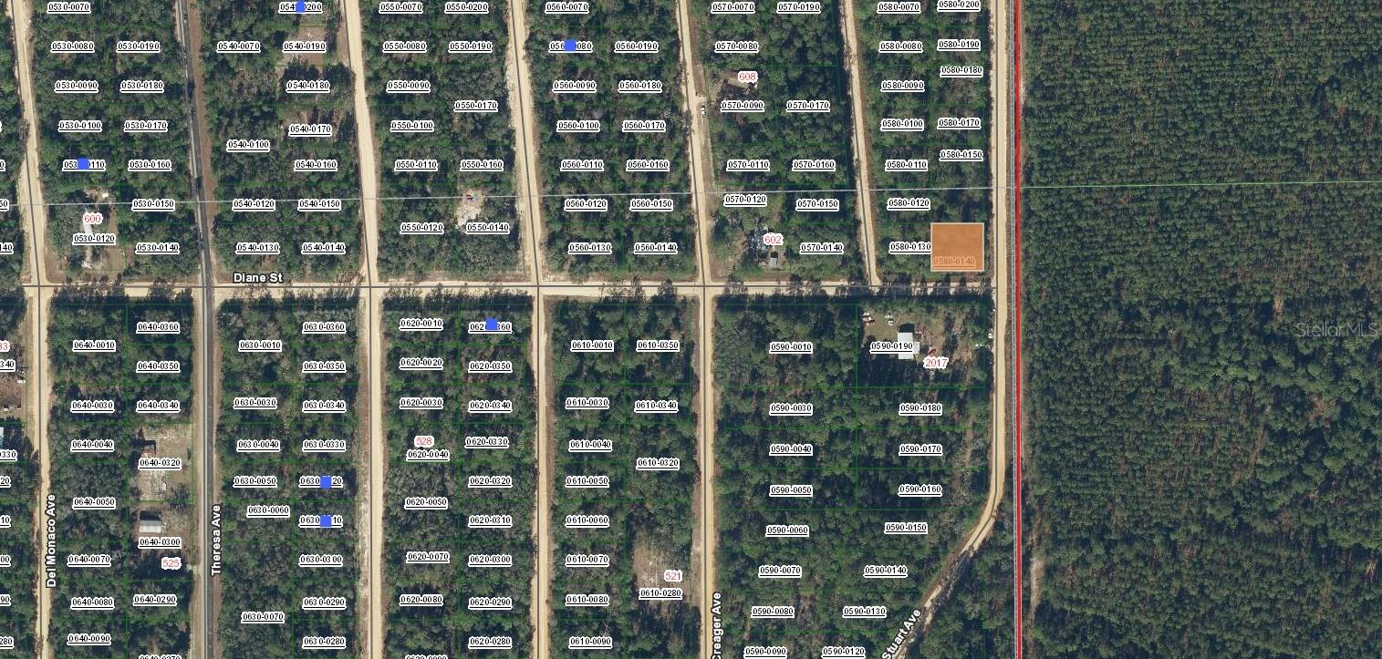 DIANE ST, INTERLACHEN, FL
