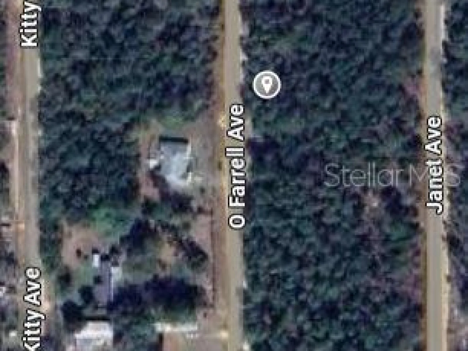O FARREL AVE, INTERLACHEN, FL — photo 2