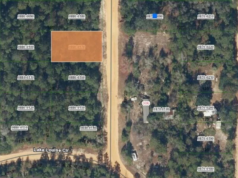 Lot 17 THERESA AVE, INTERLACHEN, FL