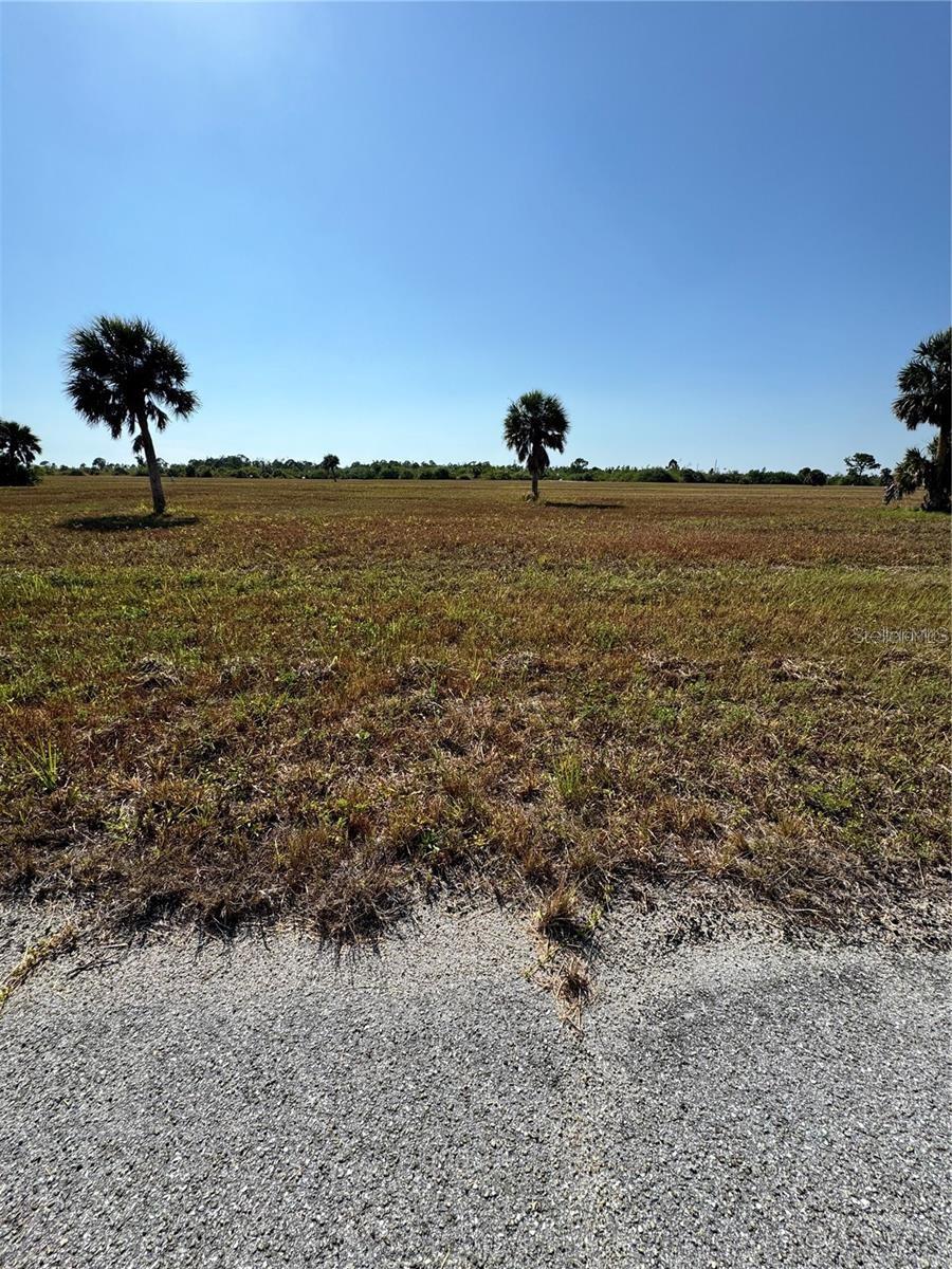 12496 TOADFISH CT, PLACIDA, FL