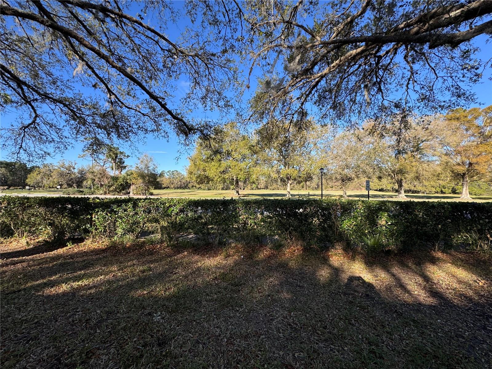 25527 OAK ALY, LEESBURG, FL — photo 19