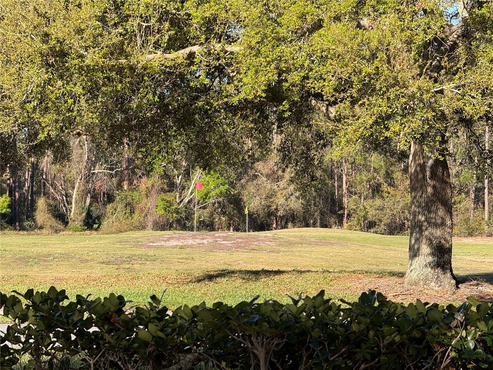 25527 OAK ALY, LEESBURG, FL — photo 30