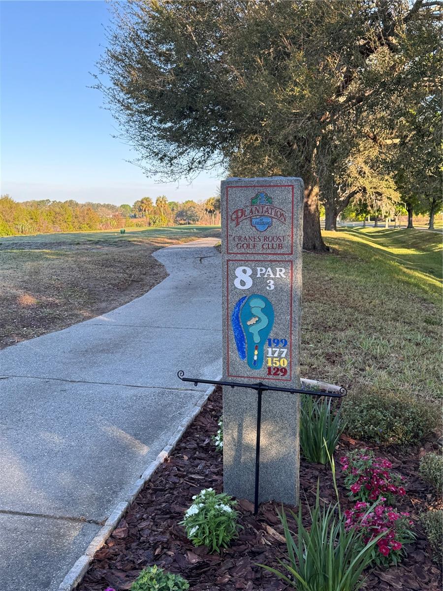 25527 OAK ALY, LEESBURG, FL — photo 123
