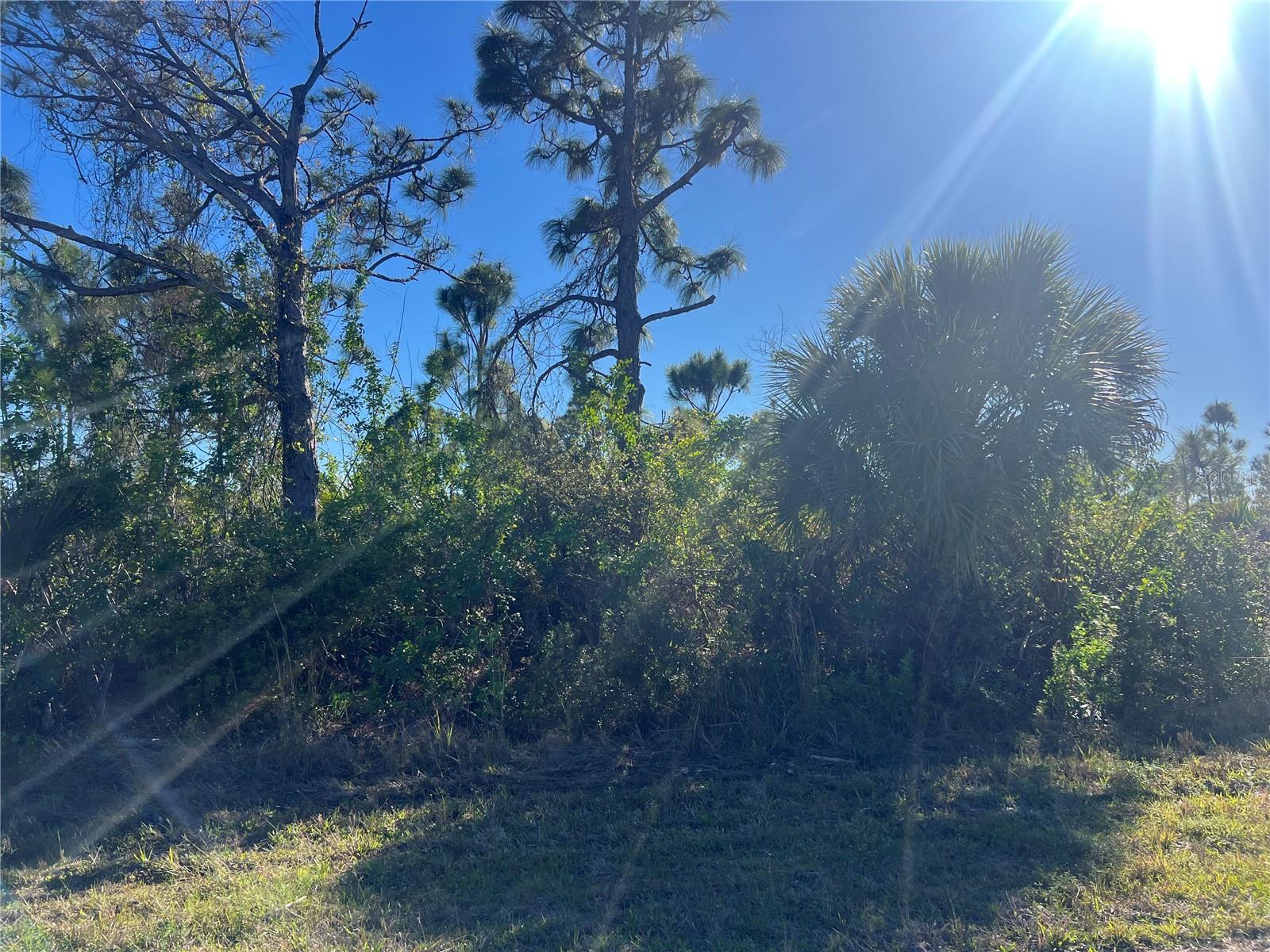 14049 MONSERRATE LN, PORT CHARLOTTE, FL — photo 2