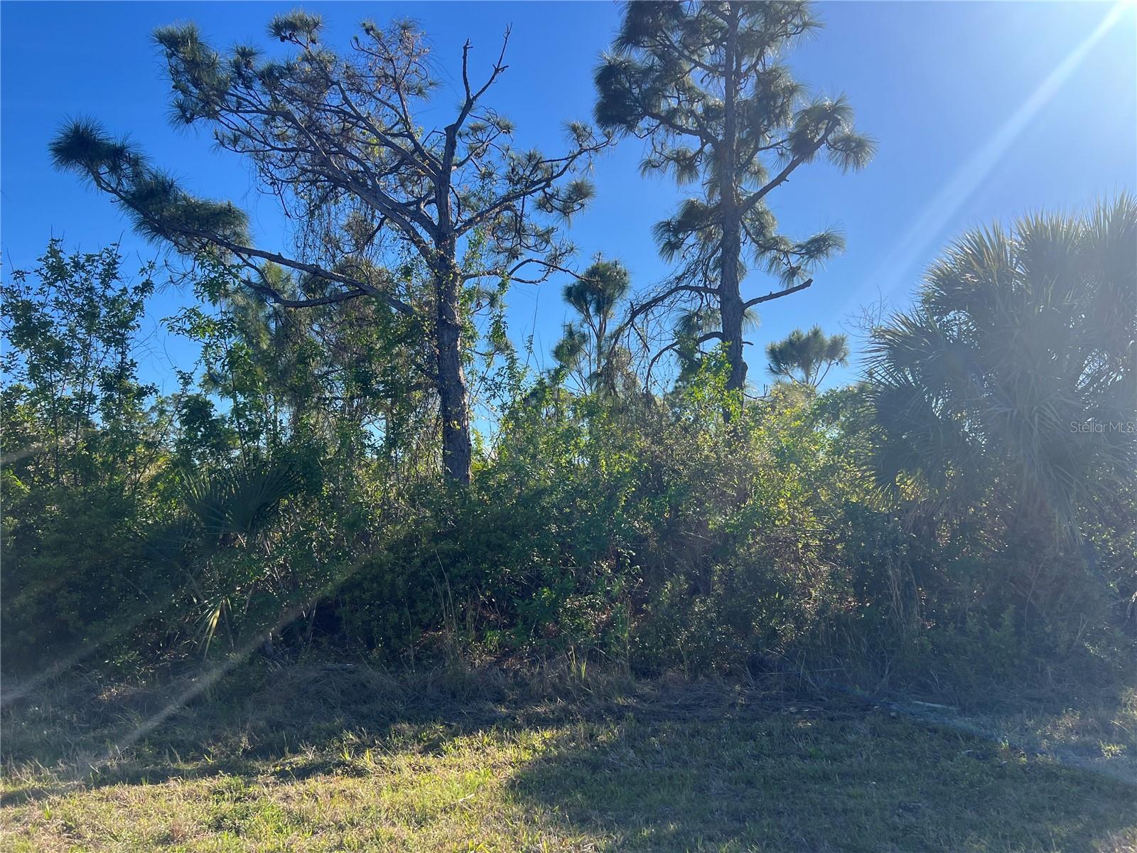 14049 MONSERRATE LN, PORT CHARLOTTE, FL — photo 4