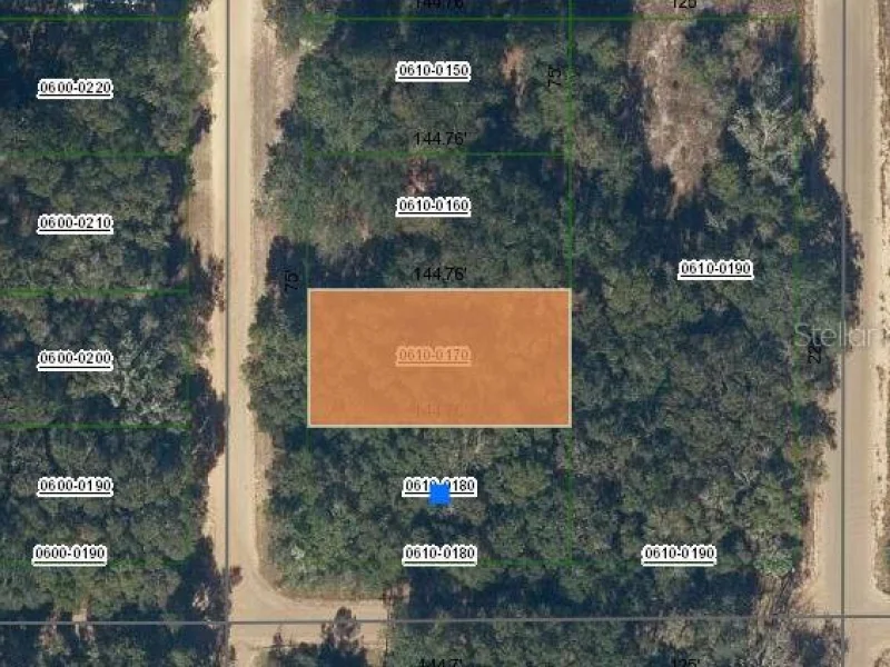 MARION AVE, INTERLACHEN, FL