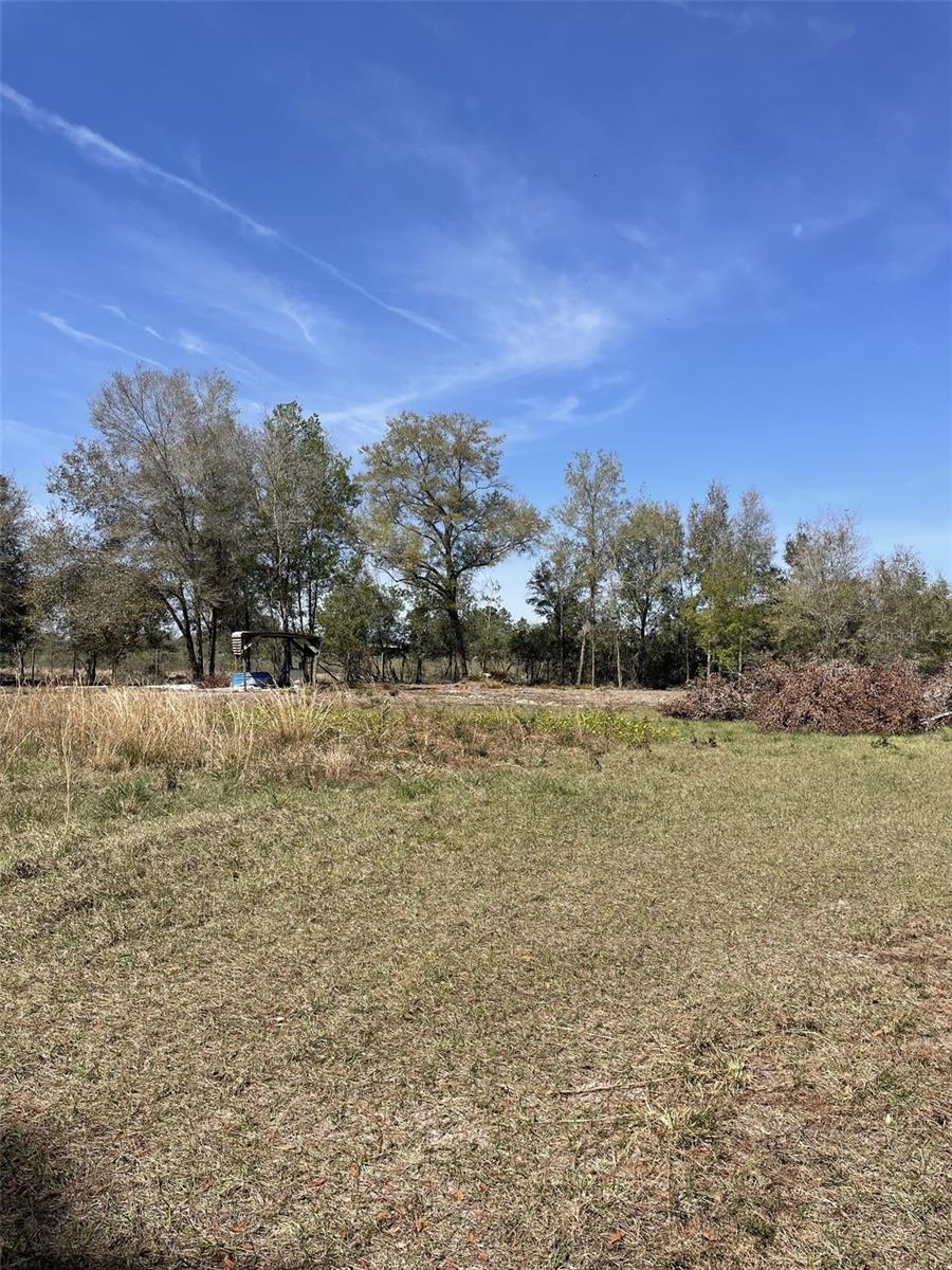 19100 COUNTY ROAD 33, GROVELAND, FL — photo 22