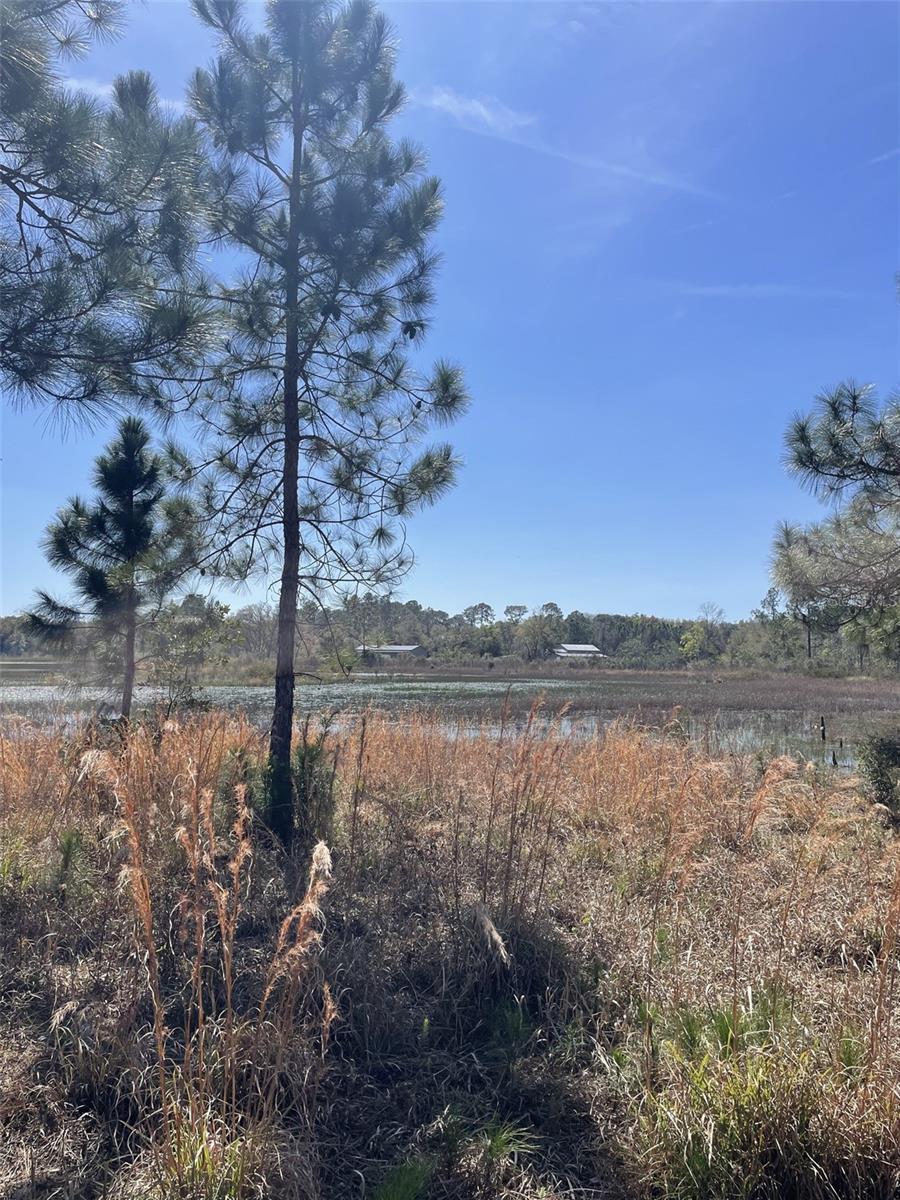 19100 COUNTY ROAD 33, GROVELAND, FL — photo 24