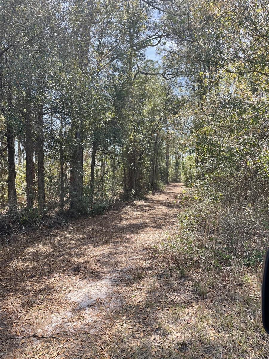 19100 COUNTY ROAD 33, GROVELAND, FL — photo 25