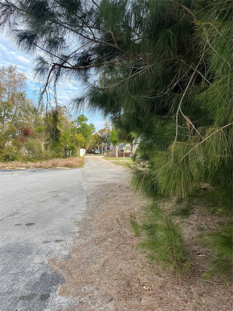 3701 FOURNIER AVE, MOUNT DORA, FL — photo 11