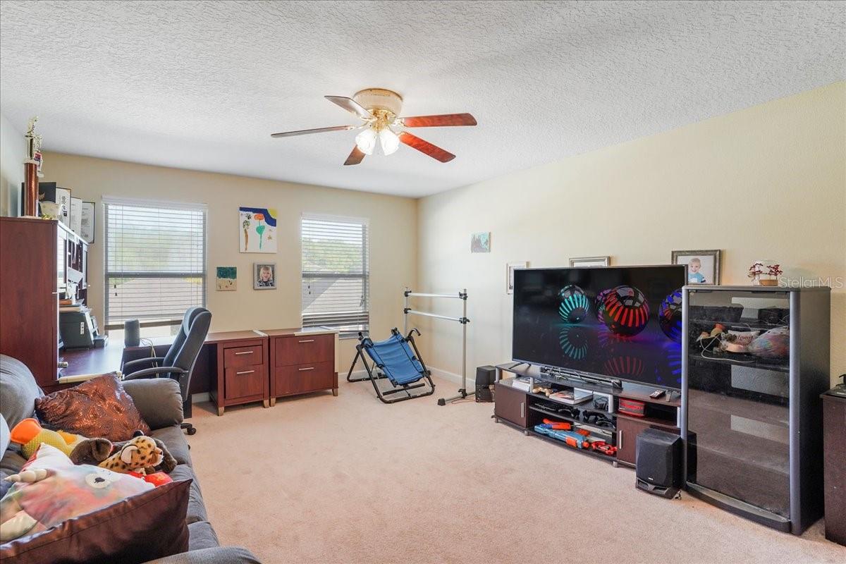 20427 CAROLINA CHERRY CT, TAMPA, FL — photo 11