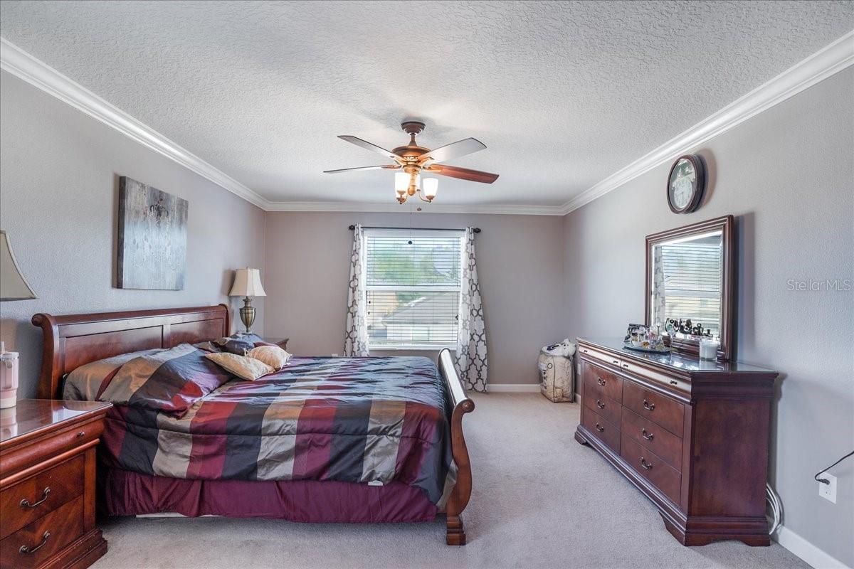 20427 CAROLINA CHERRY CT, TAMPA, FL — photo 16