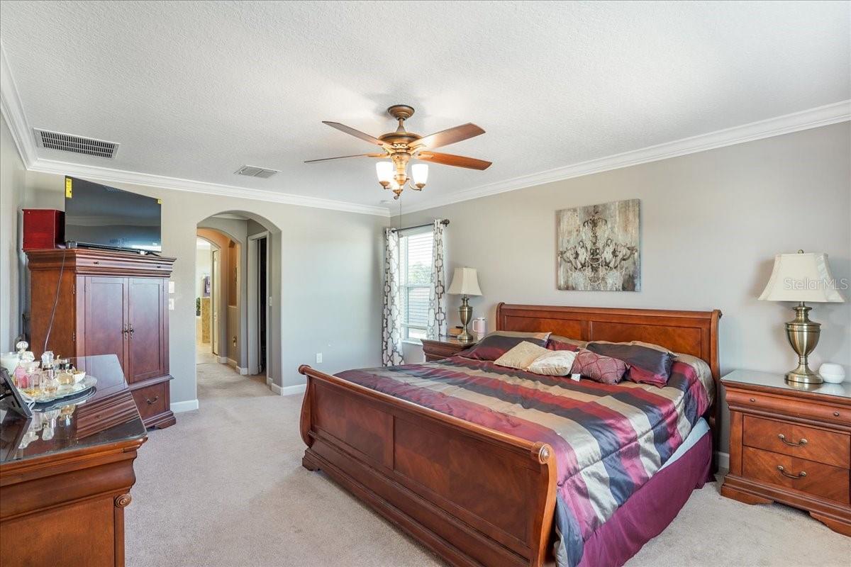 20427 CAROLINA CHERRY CT, TAMPA, FL — photo 18