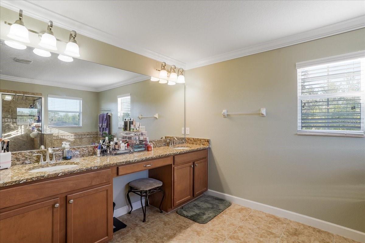 20427 CAROLINA CHERRY CT, TAMPA, FL — photo 21