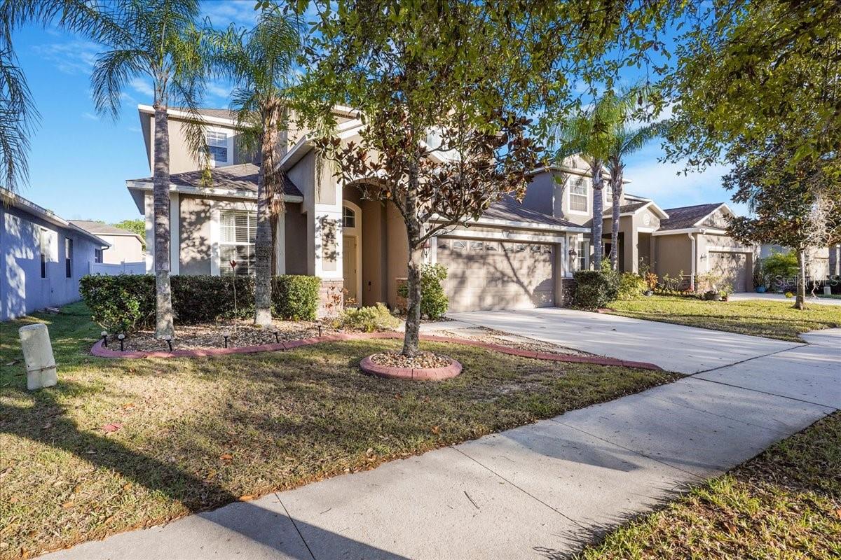 20427 CAROLINA CHERRY CT, TAMPA, FL — photo 32
